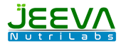 logo_1-removebg-preview